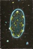 b- carte de voeux 2001, l'odyssée de l'espèce humaine, 29,7x42cms