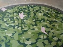 v- Sentimentalité 22, 7 12 2012