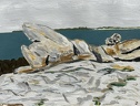 Balade à Houëdic 5